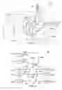 Fig. 07 - Crowd-sourced video rendering system