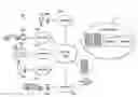 Fig. 01 - System for navigating driver to passenger for ride authorized by another user of transportation service