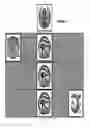 Fig. 08 - Bonus event in slot machine play