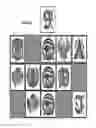 Fig. 14 - Bonus event in slot machine play