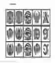 Fig. 17 - Bonus event in slot machine play