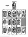 Fig. 18 - Bonus event in slot machine play