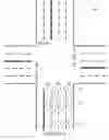 Fig. 07 - Traffic signal timing estimation using an artificial neural network model