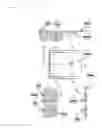 Fig. 06 - Flexible display apparatus capable of sliding action using elasticity of flexible display means being foldable
