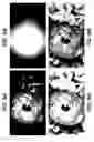 Fig. 06 - System and methods for controlling dual modulation displays