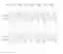 Fig. 01 - LCD panel of dot inversion mode