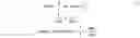 Fig. 02 - Method, system and apparatus for modifying a font character