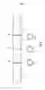 Fig. 03 - DRUMSTICK GRIP AND PERFORMANCE ENHANCEMENT