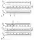 Fig. 05 - Measurement and correction of magnetic writer offset error
