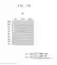 Fig. 11 - Methods of operating storage devices