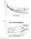 Fig. 15 - NOVEL APPLICATIONS FOR ALLIFORM CARBON