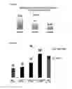 Fig. 29 - NOVEL APPLICATIONS FOR ALLIFORM CARBON