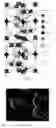 Fig. 03 - Method of engineering single phase magnetoelectric hexaferrite films
