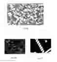 Fig. 22 - Electrochemical devices comprising carbon-based material