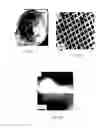 Fig. 23 - Electrochemical devices comprising carbon-based material