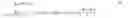 Fig. 02 - Parallelizing electrostatic acceleration/deceleration optical element