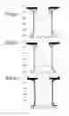 Fig. 06 - Ion source, quadrupole mass spectrometer and residual gas analyzing method