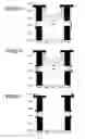 Fig. 07 - Ion source, quadrupole mass spectrometer and residual gas analyzing method