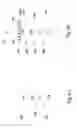 Fig. 06 - FinFET doping methods and structures thereof
