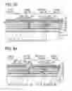 Fig. 05 - Semiconductor device and manufacturing method of the same
