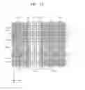 Fig. 22 - Planarized interlayer dielectric with air gap isolation