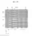 Fig. 31 - Planarized interlayer dielectric with air gap isolation