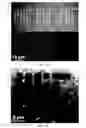 Fig. 07 - Universal methodology to synthesize diverse two-dimensional heterostructures