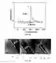 Fig. 19 - Universal methodology to synthesize diverse two-dimensional heterostructures