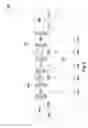 Fig. 09 - Method of forming self-alignment contact