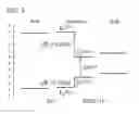 Fig. 06 - Transistor, circuit, semiconductor device, display device, and electronic device
