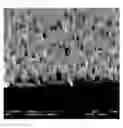 Fig. 01 - Necklaces of silicon nanowires