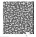 Fig. 02 - Necklaces of silicon nanowires