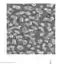 Fig. 04 - Necklaces of silicon nanowires