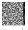Fig. 05 - Necklaces of silicon nanowires