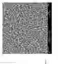 Fig. 06 - Necklaces of silicon nanowires