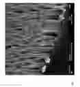 Fig. 08 - Necklaces of silicon nanowires