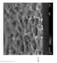Fig. 10 - Necklaces of silicon nanowires