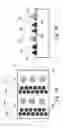 Fig. 02 - Monolithic image chip for near-to-eye display
