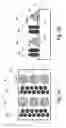 Fig. 03 - Monolithic image chip for near-to-eye display