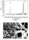 Fig. 03 - STRUCTURES AND FABRICATION METHODS OF FLEXIBLE THERMOELECTRIC DEVICES