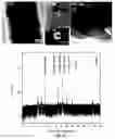 Fig. 04 - STRUCTURES AND FABRICATION METHODS OF FLEXIBLE THERMOELECTRIC DEVICES