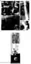 Fig. 06 - STRUCTURES AND FABRICATION METHODS OF FLEXIBLE THERMOELECTRIC DEVICES