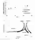 Fig. 33 - Curved Piezoelectric Transducers and Methods of Making and Using the Same