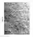 Fig. 33 - UV or EB cured polymer-bonded ceramic particle lithium secondary battery separators, method for the production thereof