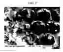 Fig. 03 - Secondary battery comprising a carbon-silicon composite electrode and method of preparing same