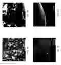 Fig. 04 - METHOD OF MAKING ELECTRODES CONTAINING CARBON SHEETS DECORATED WITH NANOSIZED METAL PARTICLES AND ELECTRODES MADE THEREFROM