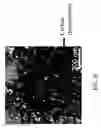 Fig. 05 - METHOD OF MAKING ELECTRODES CONTAINING CARBON SHEETS DECORATED WITH NANOSIZED METAL PARTICLES AND ELECTRODES MADE THEREFROM