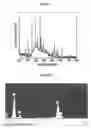 Fig. 02 - CATHODE MATERIALS CONTAINING OLIVINE STRUCTURED NANOCOMPOSITES