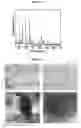 Fig. 06 - CATHODE MATERIALS CONTAINING OLIVINE STRUCTURED NANOCOMPOSITES