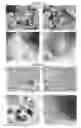 Fig. 07 - CATHODE MATERIALS CONTAINING OLIVINE STRUCTURED NANOCOMPOSITES